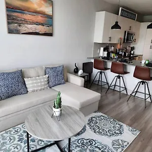 Luxurious 1 Bedroom Apt In Ybor Tampa